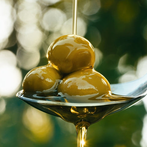Italian Olive Oil